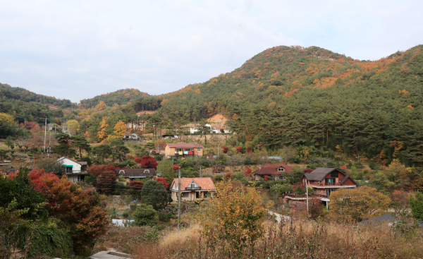 산청군은 ‘2025년 귀농인 이사비 지원사업’을 추진한다고 13일 밝혔다.