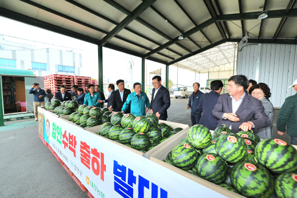 함안군과 함안군조합공동사업법인은 25일 대산농협 농산물산지유통센터(APC)에서 2025년 함안수박 첫 출하 발대식을 가졌다.