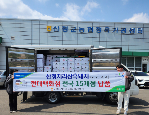 산청군농협(조합장 조창호)이 지난 4일 산청지리산 흑돼지를 현대백화점에 납품했다.