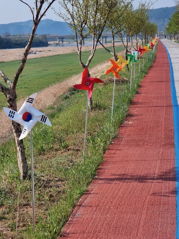 산청군은 단성면은 경호강 둑길 일원에 2㎞ 규모 ‘추억의 바람개비 산책길’을 조성했다고 25일 밝혔다.