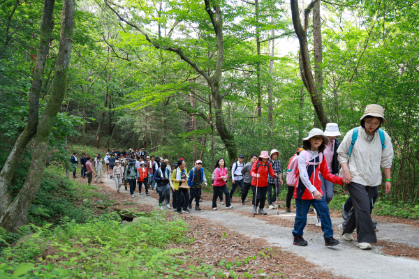 산청군은 ‘2025 산청방문의 해’ 일환으로 마련한 지리산 미개방구간 탐방행사를 성황리에 마무리했다고 7일 밝혔다.