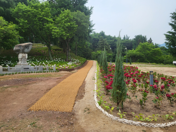 사천시 선구동 망산공원 일대가 '명품 수국정원'으로 재탄생했다.