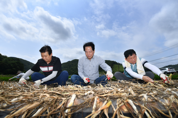 경남도의회 경제환경위원회(위원장 허동원)는 17일 본격적인 영농철을 맞이하여 의령군 유곡면 소재 양파 재배 농가를 찾아 농촌 일손돕기를 실시하였다.